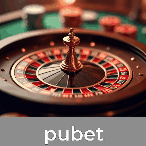 A Vantagem Competitiva e o Serviço Profissional do Pubet